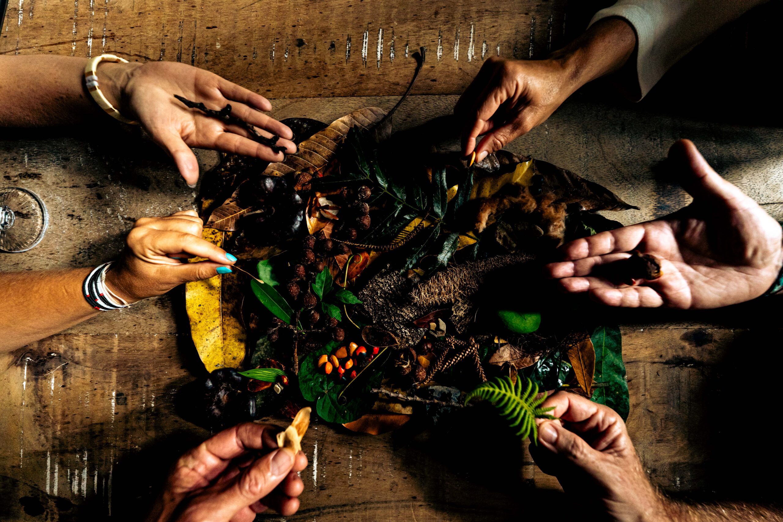 Oficina Quadros do Cerrado